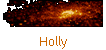 Holly